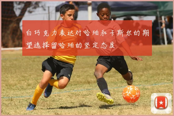 白巧克力表达对哈珀和卡斯尔的期望选择留哈珀的坚定态度