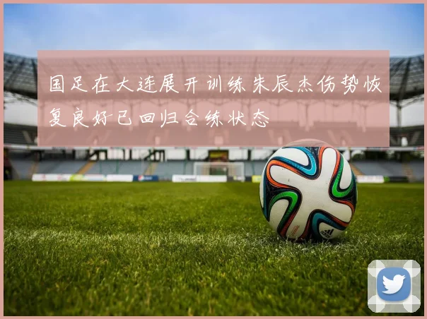 国足在大连展开训练朱辰杰伤势恢复良好已回归合练状态